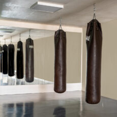 Gran pared de espejos en un gimnasio de boxeo